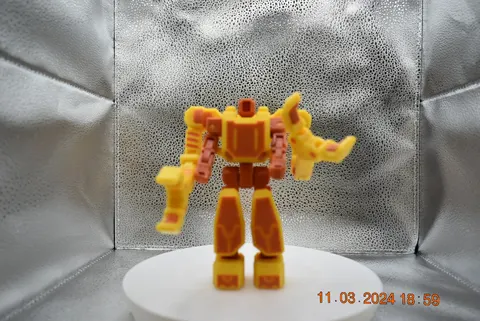 DSC0215