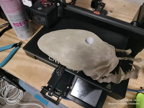 Pelican Skull 1
