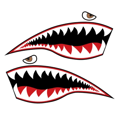 Shark Mouth Nose Art